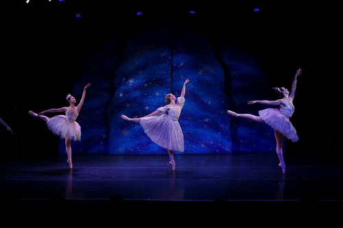 NYTB's Cinderella and the Fairies