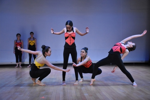 Loco-Motion Dance Theatre for Children's 'Standards.'