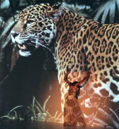 Bausch's AGUA ('Water') against a rainforest image with jaguar